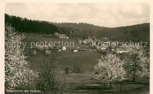 AK / Ansichtskarte Rabenstein_Zwiesel Kirschbl?te  Rabenstein_Zwiesel