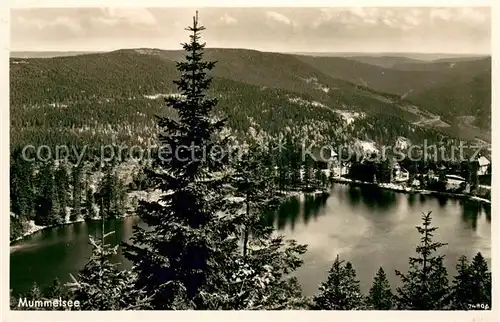 AK / Ansichtskarte Mummelsee Panorama Mummelsee