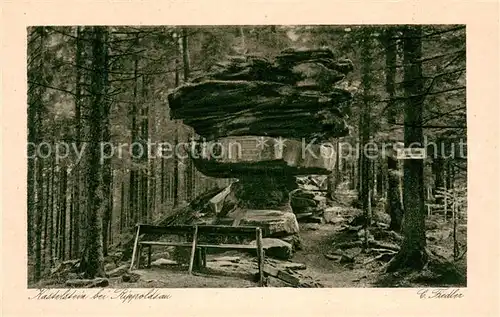 AK / Ansichtskarte Rippoldsau_Schwarzwald_Bad Kastelstein Rippoldsau_Schwarzwald