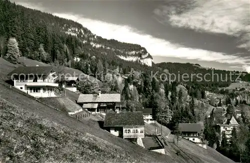AK / Ansichtskarte Beatenberg Chalets in der Waid Beatenberg