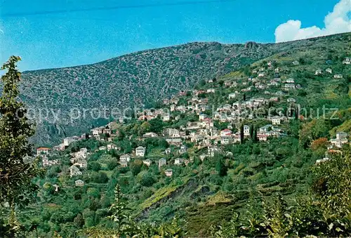AK / Ansichtskarte Makrinitsa Panorama Makrinitsa
