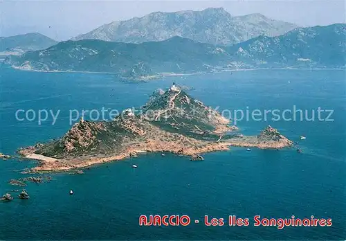 AK / Ansichtskarte Ajaccio Les Iles Sanguinaires vue aerienne Ajaccio