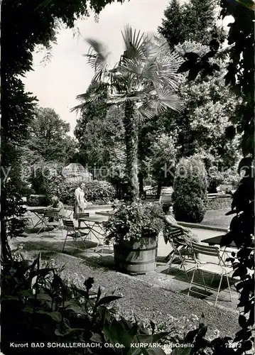 AK / Ansichtskarte Bad_Schallerbach Kurpark mit Quelle Bad_Schallerbach