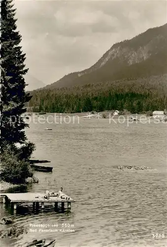 AK / Ansichtskarte Pressegger_See Panorama Pressegger See