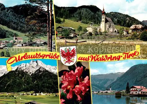 AK / Ansichtskarte Waidring_Tirol Ortsansichten Steinberge Alpenrosen Am Pillersee Waidring Tirol