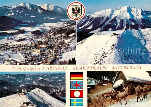 AK / Ansichtskarte Mariazell_Steiermark Gemeindealpe Mitterbach Sessellift Wildfuetterung Mariazell_Steiermark