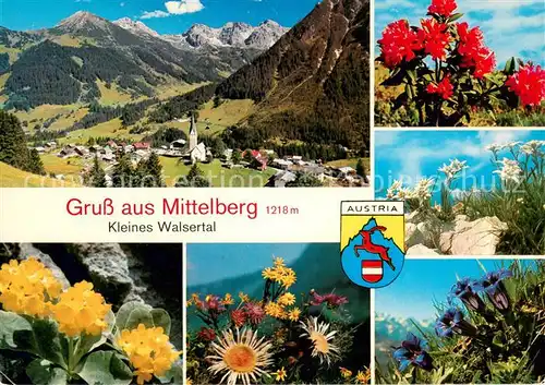 AK / Ansichtskarte Mittelberg_Kleinwalsertal Panorama Alpenflora Mittelberg_Kleinwalsertal