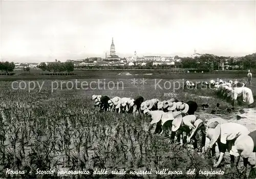 AK / Ansichtskarte Novara Scorcio panoramico dalle risaie novaresi nell epoca del trapianto Novara