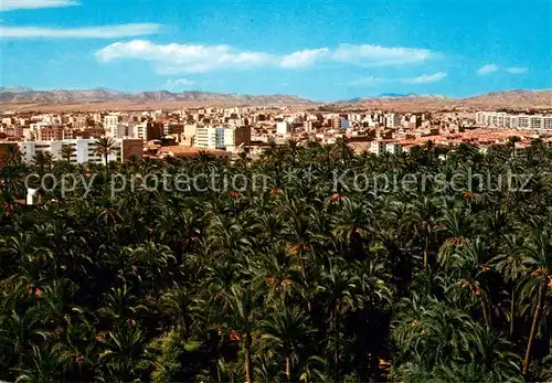 AK / Ansichtskarte Elche Vista parcial y Palmeral Elche