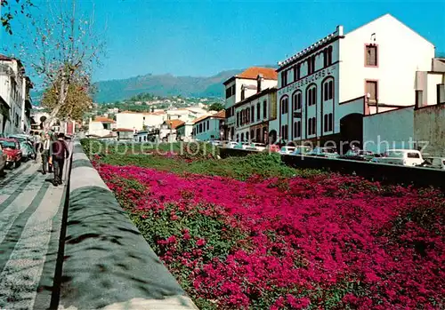 AK / Ansichtskarte Madeira_Portugal Uma ribeira na Funchal 