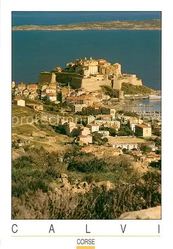 AK / Ansichtskarte Calvi La Citadelle Vue aerienne Calvi