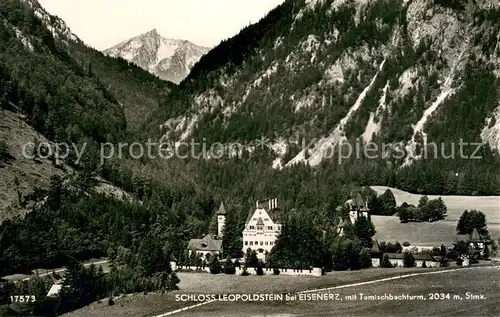 AK / Ansichtskarte Eisenerz_Steiermark Schloss Leopoldstein Tamischbachturm Eisenerz_Steiermark