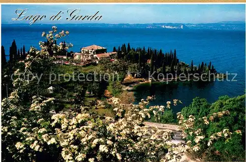 AK / Ansichtskarte Punta_San_Vigilio Lago di Garda Punta_San_Vigilio