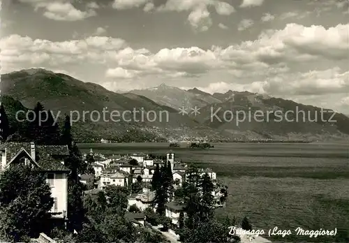 AK / Ansichtskarte Brissago_Lago_Maggiore Panorama Brissago_Lago_Maggiore