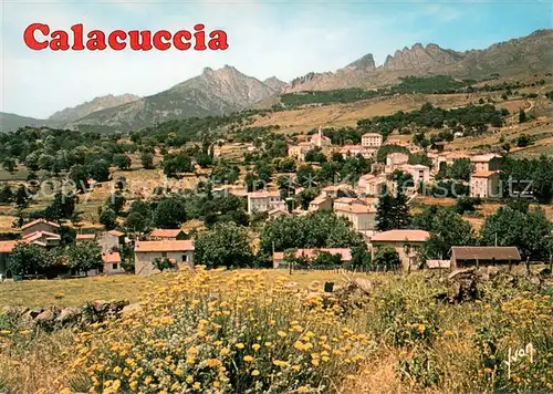 AK / Ansichtskarte Calacuccia Entoure de Chataigniers le village au loin Montagne du Paglia Orba Calacuccia