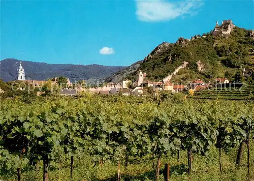 AK / Ansichtskarte Duernstein_Wachau Weinreben Blick zum Ort mit Burgruine Duernstein_Wachau