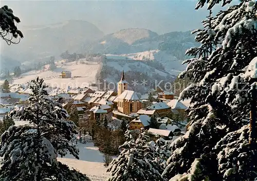 AK / Ansichtskarte Tuernitz_Niederoesterreich Winterpanorama Tuernitz_Niederoesterreich