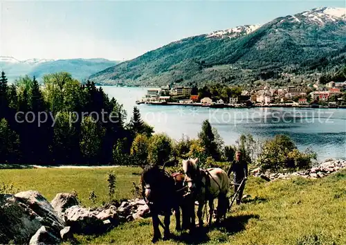 AK / Ansichtskarte Balestrand Pferdefuhrwerk Dorf am Sognefjord Balestrand