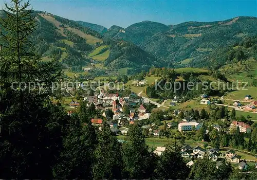 AK / Ansichtskarte Tuernitz_Niederoesterreich Panorama Blick zum Eibel Tuernitz_Niederoesterreich