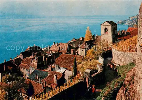 AK / Ansichtskarte St_Saphorin_Lavaux Panorama Lac Leman Genfersee St_Saphorin_Lavaux