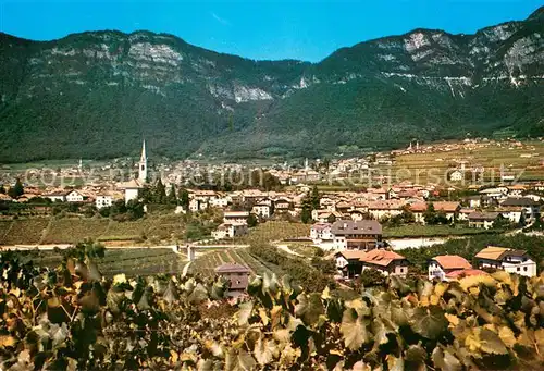 AK / Ansichtskarte Caldaro_Kaltern Weingebiet Caldaro Kaltern