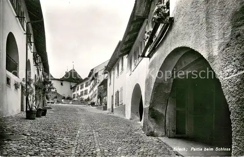 AK / Ansichtskarte Erlach_BE Partie beim Schloss Erlach_BE