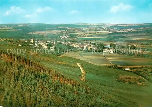 AK / Ansichtskarte Remich Vue generale Remich