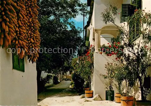 AK / Ansichtskarte Moerbisch_See Heimathaus Moerbisch See