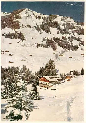 AK / Ansichtskarte Mittelberg_Kleinwalsertal Alpengasthof Wildental Mittelberg_Kleinwalsertal