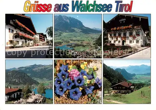 AK / Ansichtskarte Walchsee_Tirol Hauptstrasse Blumenhaeuser Kaisergebirge Walchseerhof Lippenalm Alpenblumen Ottenalm Walchsee Tirol