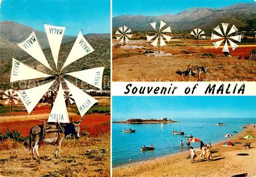 AK / Ansichtskarte Malia_Stalida Esel Lasttier Windrad Strand Berge Malia_Stalida