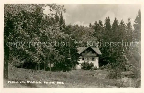 AK / Ansichtskarte Tauchen Pension Villa Waldfriede Tauchen