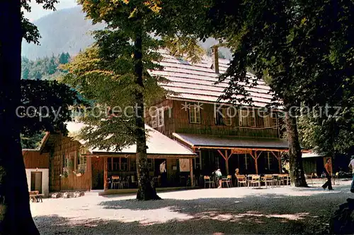 AK / Ansichtskarte Bohinj Dom pri Savici Bohinj