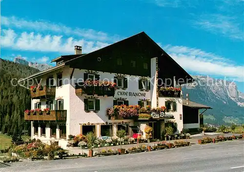 AK / Ansichtskarte San_Cassiano_Badia Hotel Cime Bianche San_Cassiano_Badia