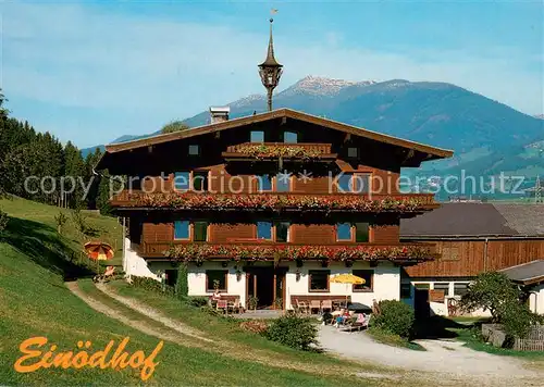 AK / Ansichtskarte Mittersill_Oberpinzgau Einoedhof Mittersill Oberpinzgau