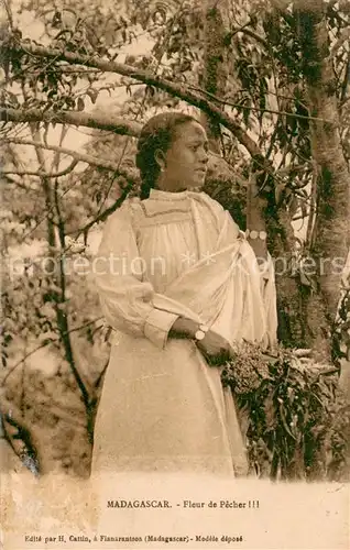 AK / Ansichtskarte Madagascar Fleur de Pecher Madagascar