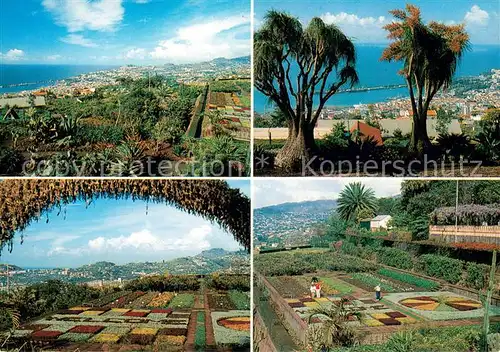 AK / Ansichtskarte Funchal Diversos aspectos do Jardim Botanico Funchal