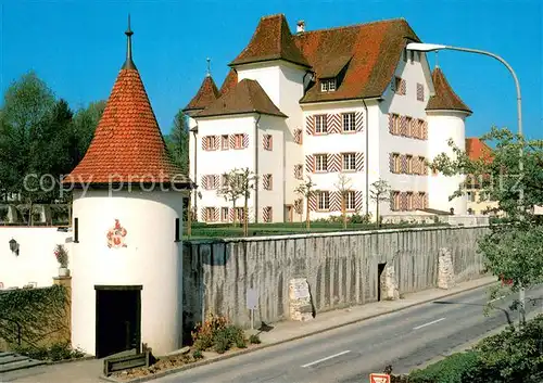 AK / Ansichtskarte Aesch_BL Von Blarer Schloss Residenz der Vogtei Pfeffingen Aesch_BL