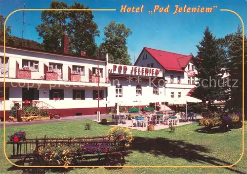 AK / Ansichtskarte Swieradow_Zdroj_Bad_Flinsberg Kurhotel Pod Jeleniem Swieradow_Zdroj