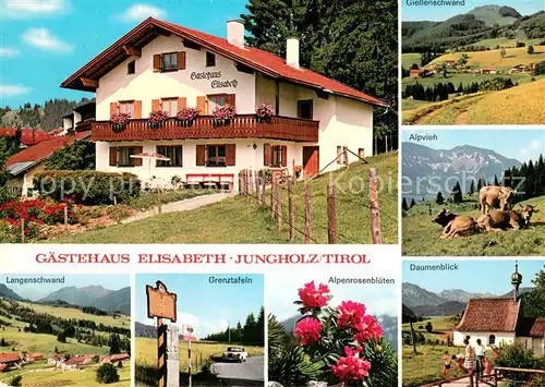 AK / Ansichtskarte Jungholz_Tirol Gaestehaus Elisabeth Giessenschwand Langenschwand Grenztalfeln Daumenblick Alpvieh Jungholz Tirol
