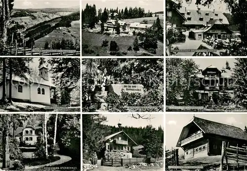 AK / Ansichtskarte Alpl Waldheimathof Bruggraber Alpengasthof Roseggers Geburts und Sterbehaus Alpl