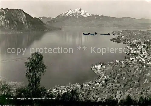 AK / Ansichtskarte Weggis_Vierwaldstaettersee mit Buergenstock und Pilatus Weggis_Vierwaldstaettersee