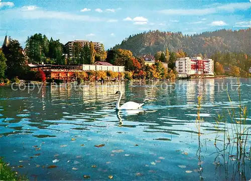 AK / Ansichtskarte Bled Uferpartie am Veldeser See Schwan Bled