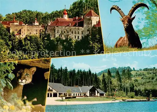 AK / Ansichtskarte Herberstein Natur  und Wildparkam Stubenbergsee Puma Gemse Herberstein