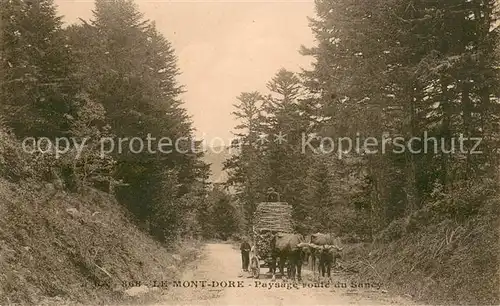 AK / Ansichtskarte Le_Mont Dore_Puy_de_Dome Paysage route du Sancy Le_Mont Dore_Puy_de_Dome