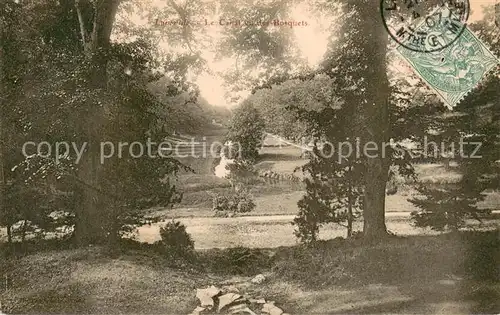 AK / Ansichtskarte Luneville Le canal vu des bosquets Luneville