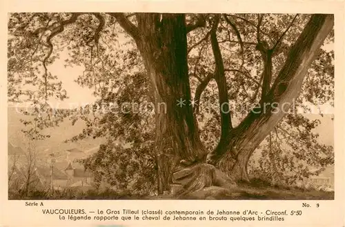 AK / Ansichtskarte Vaucouleurs Le gros Tilleul contemporain de Jeanne d Arc Vaucouleurs