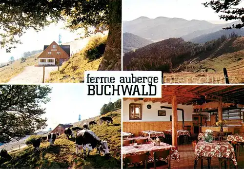 AK / Ansichtskarte Breitenbach_Bas Rhin Ferme Auberge Buchwald Restaurant Panorama Breitenbach Bas Rhin