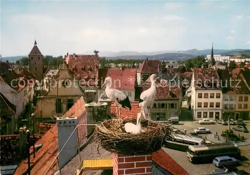 AK / Ansichtskarte Molsheim Cigognes  Molsheim