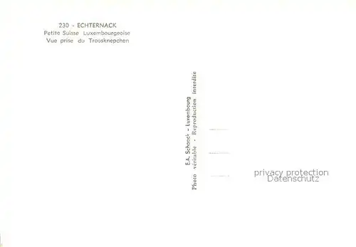AK / Ansichtskarte Echternach Troosknepchen  Echternach